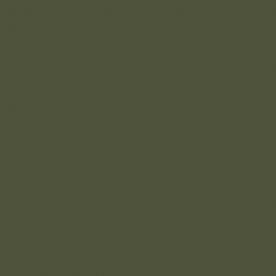 telfar olive green